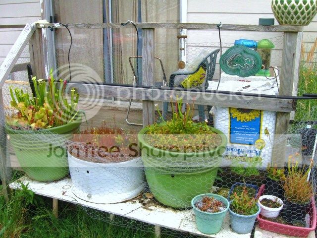 IMG_0859.jpg