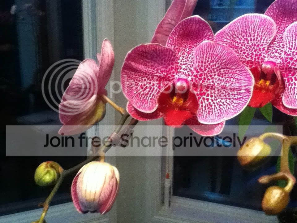 photo-13.jpg