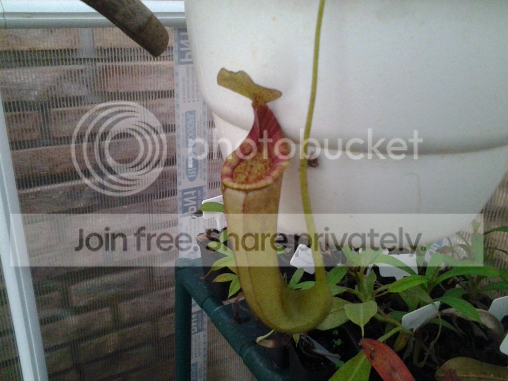 20120716_172907.jpg