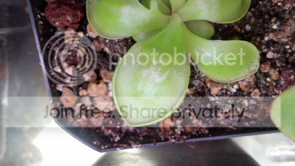 2012-06-12_15-51-58_364.jpg