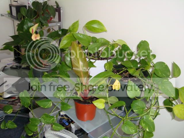 DSC00070.jpg