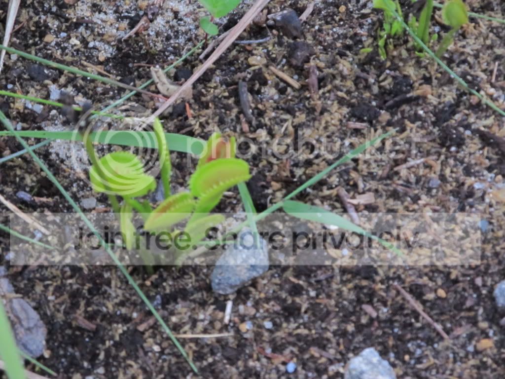 IMG_5768.jpg