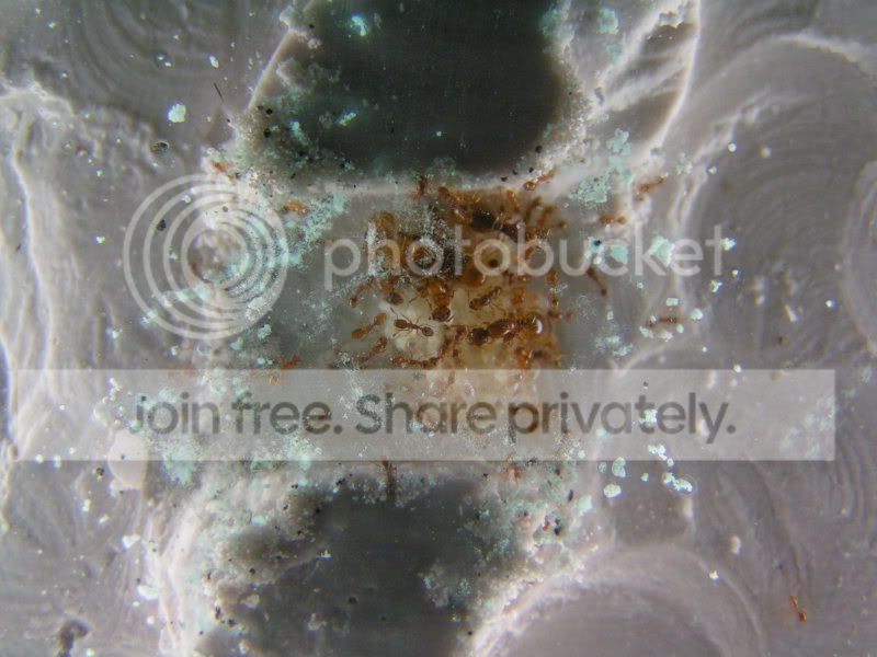 5f62344a.jpg