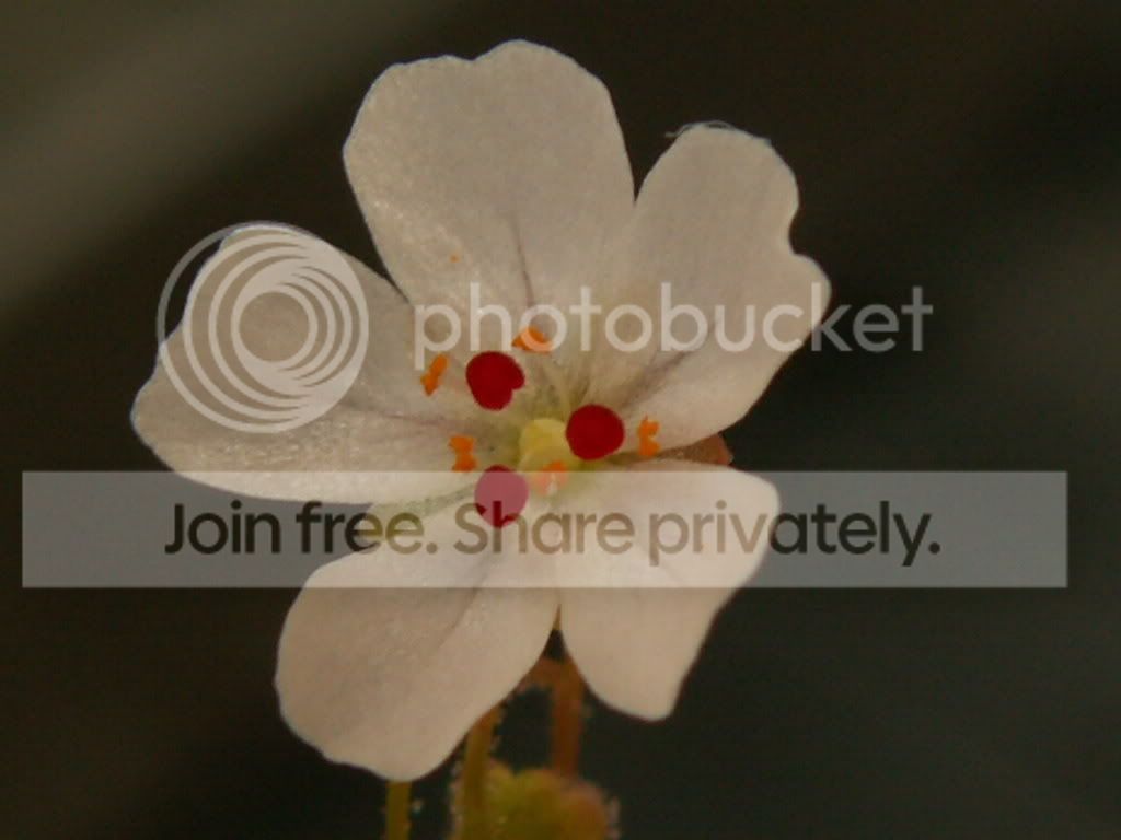 PICT0001.jpg