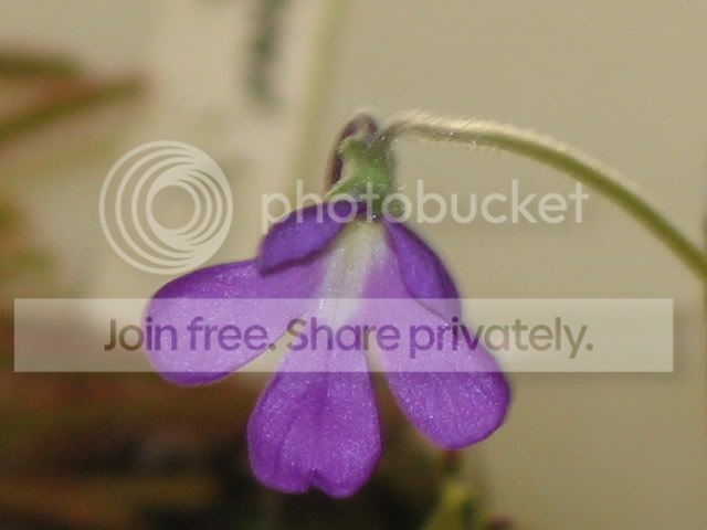 IMG_0253.jpg