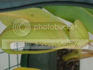 DSCN0433-2.jpg