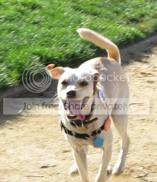 070.jpg