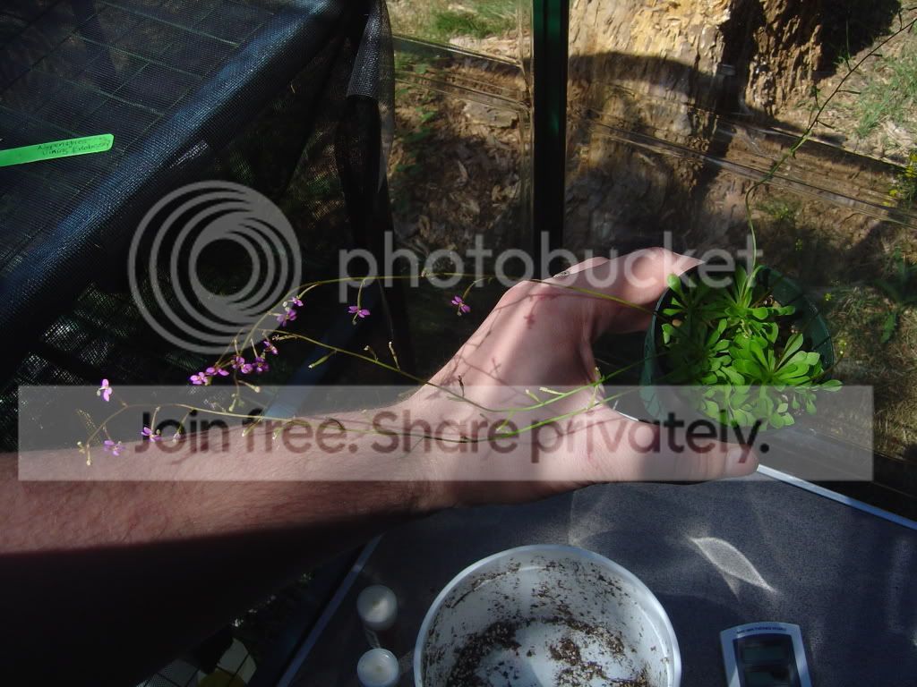 CPs7-22-09009.jpg