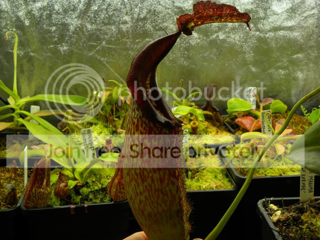 038_zps024c6e14.jpg