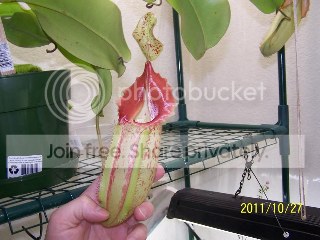 100_5491.jpg