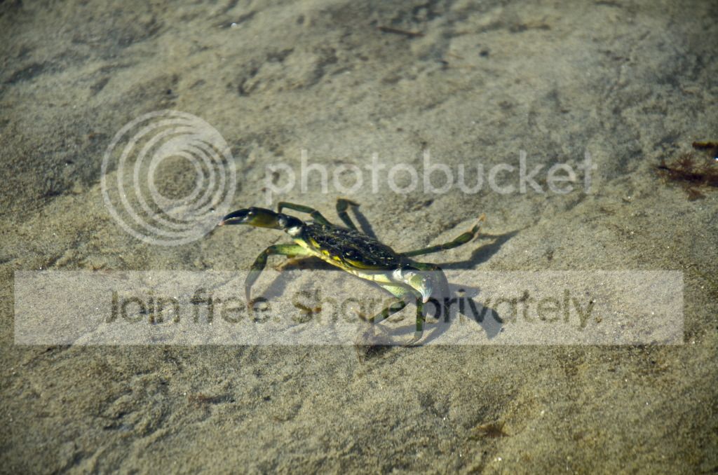 DSC_0457.jpg