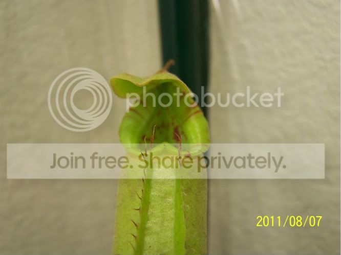 100_5010.jpg