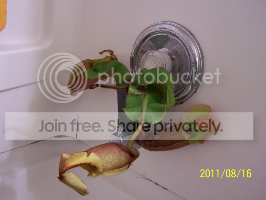 100_5060.jpg