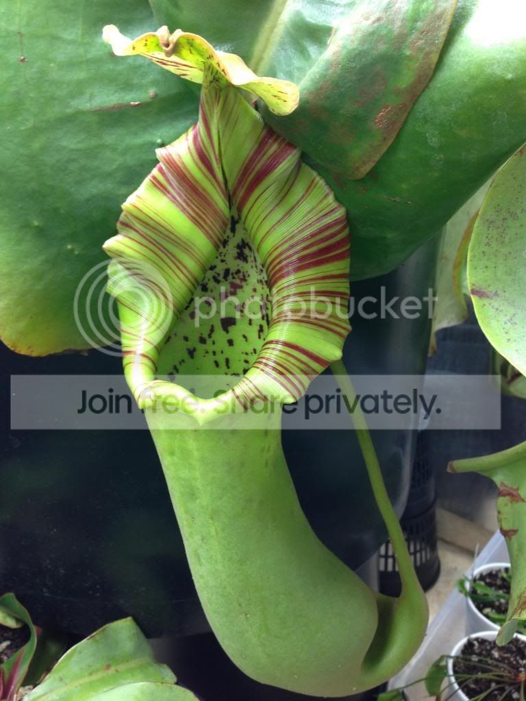 image_zps7f725d70.jpg