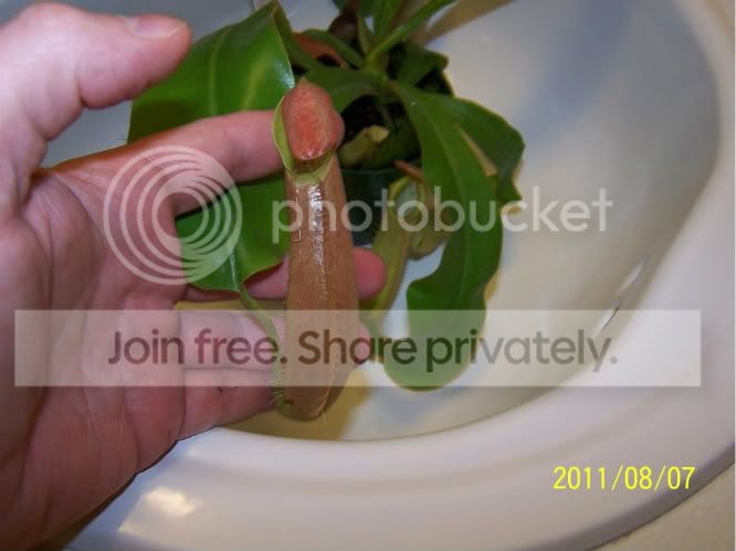 100_4988.jpg