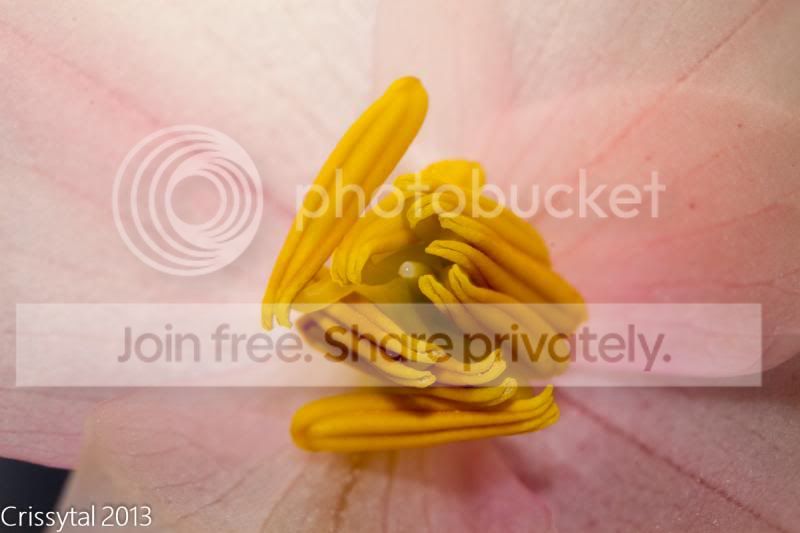 IMG_6305-2_zpsb3de968b.jpg