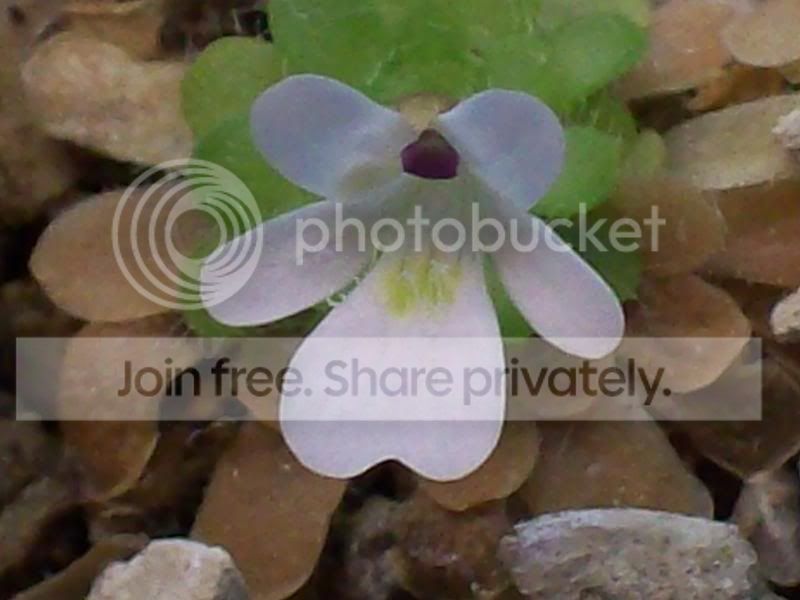100_9184.jpg