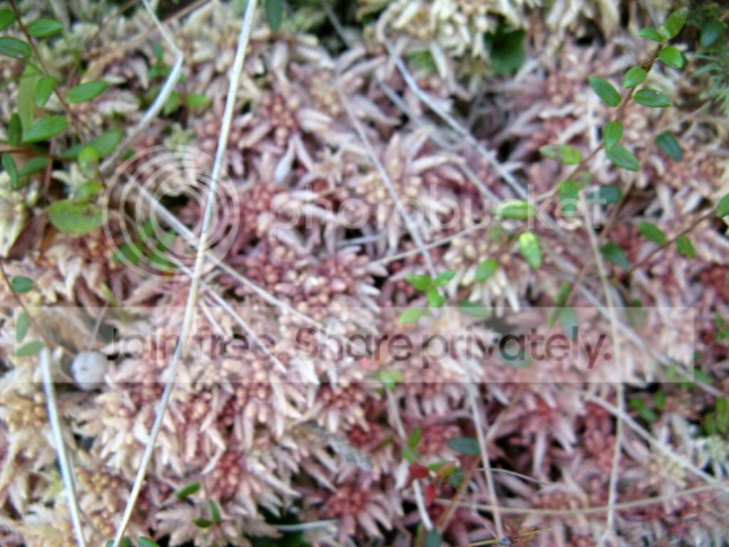 IMG_2834.jpg
