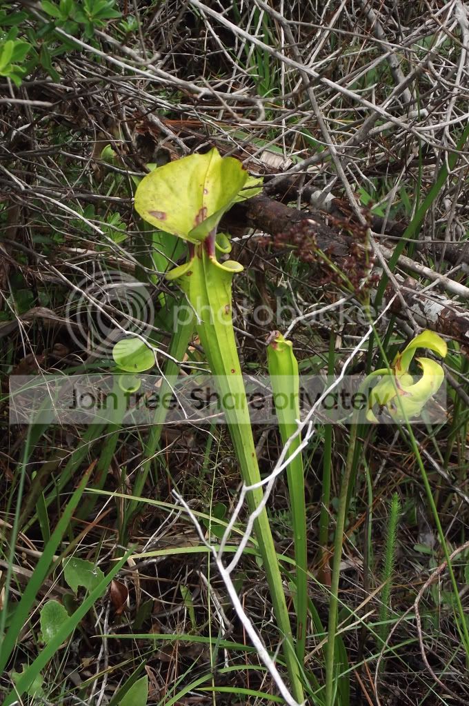 DSCF8060.jpg