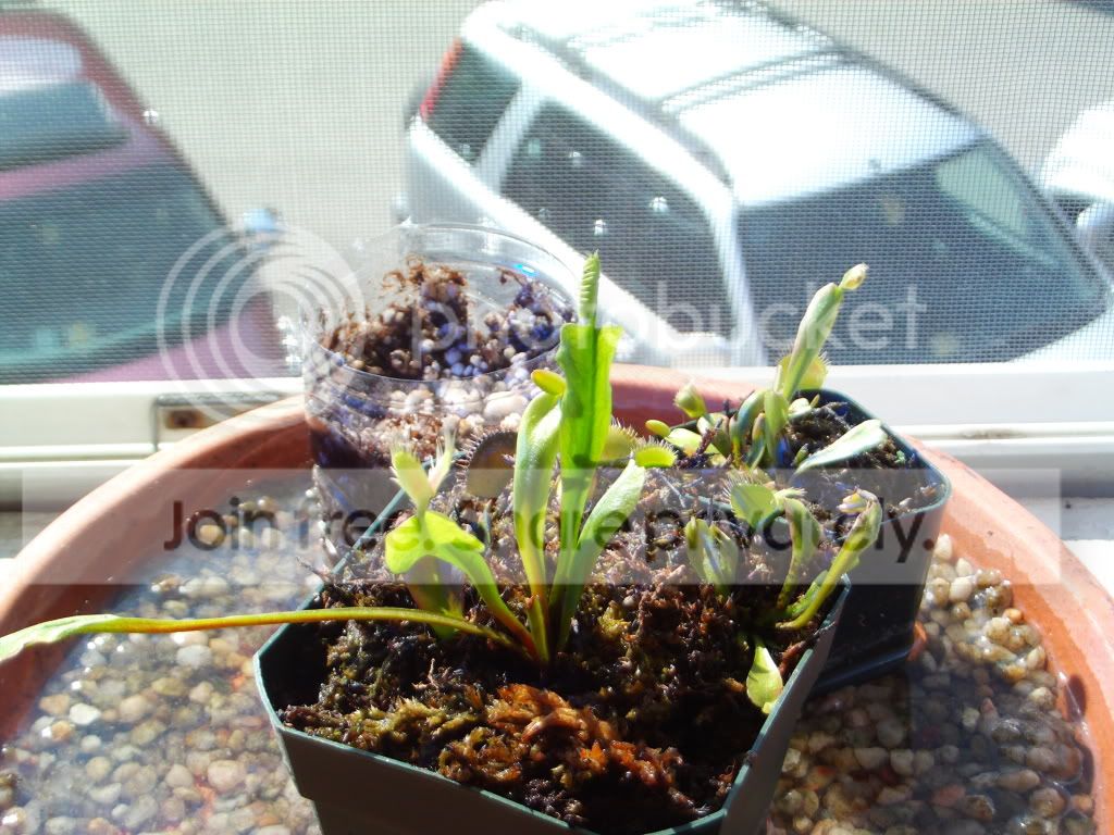 FILE1310.jpg