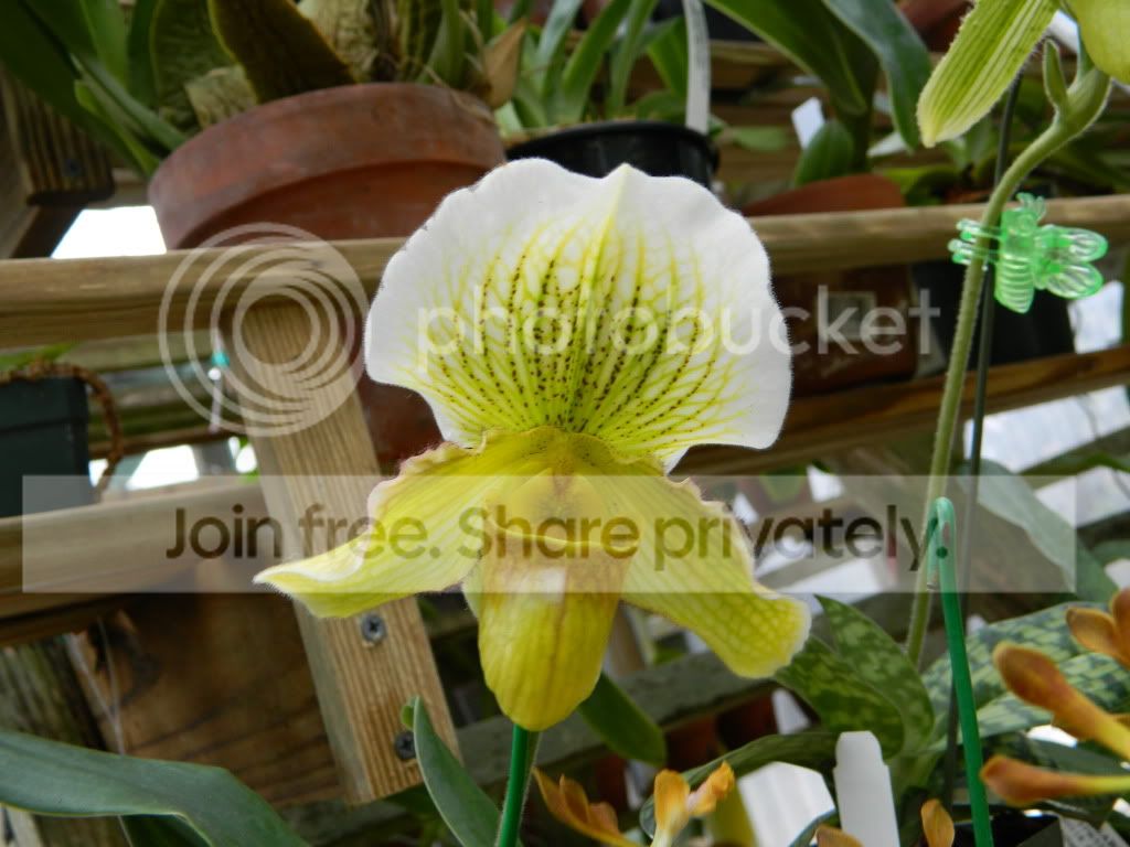 DSCN0127.jpg