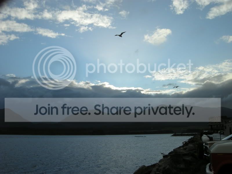 DSCN6349.jpg