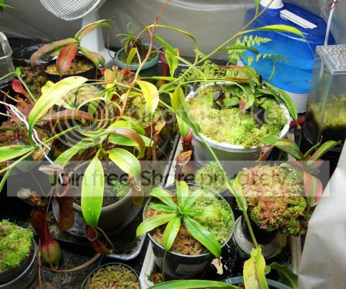 growchamber02_10-29-10.jpg