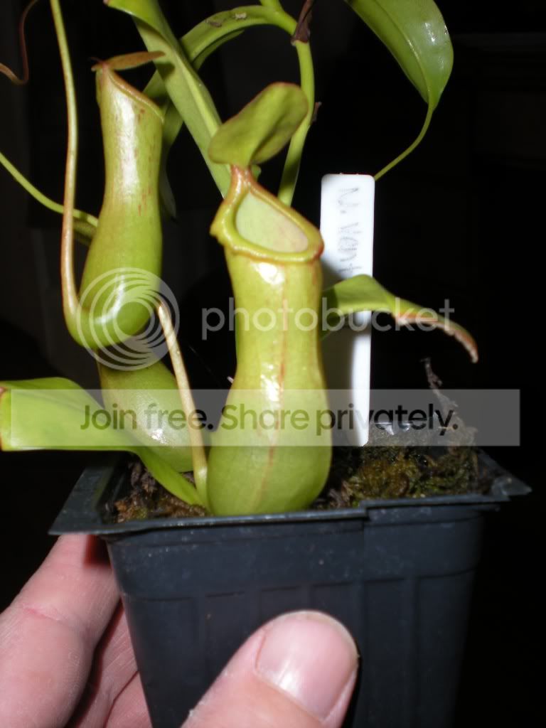 DSCN8157.jpg