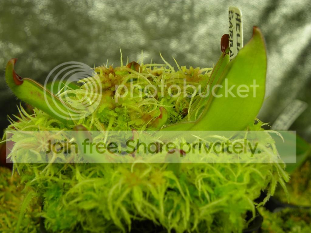 014_zps34f99e00.jpg
