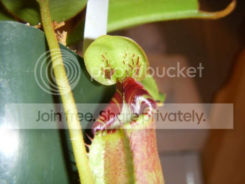 DSCN2918.jpg