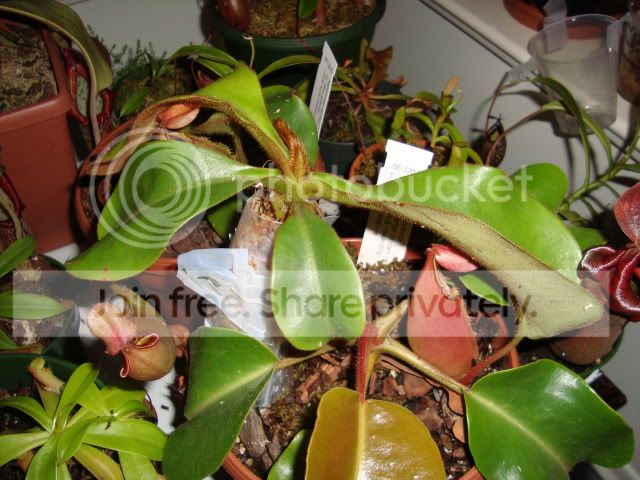 DSC02690.jpg