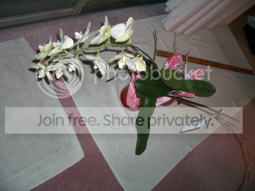 IMGP5886.jpg