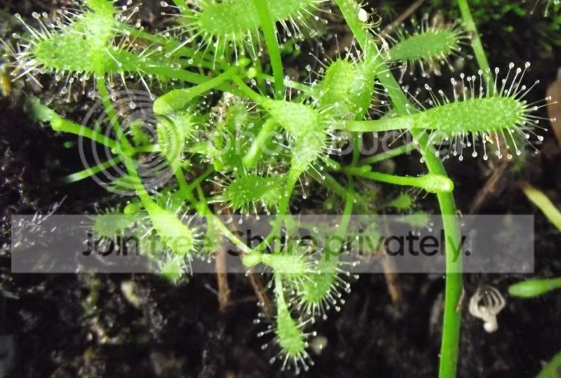 DSCF5809.jpg