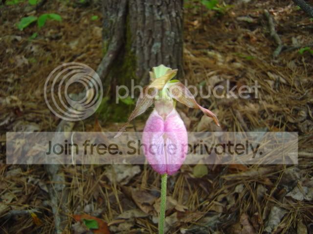 DSC00705.jpg