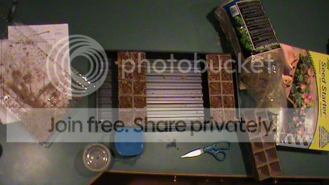DSC00956_zps9c682a7c.jpg