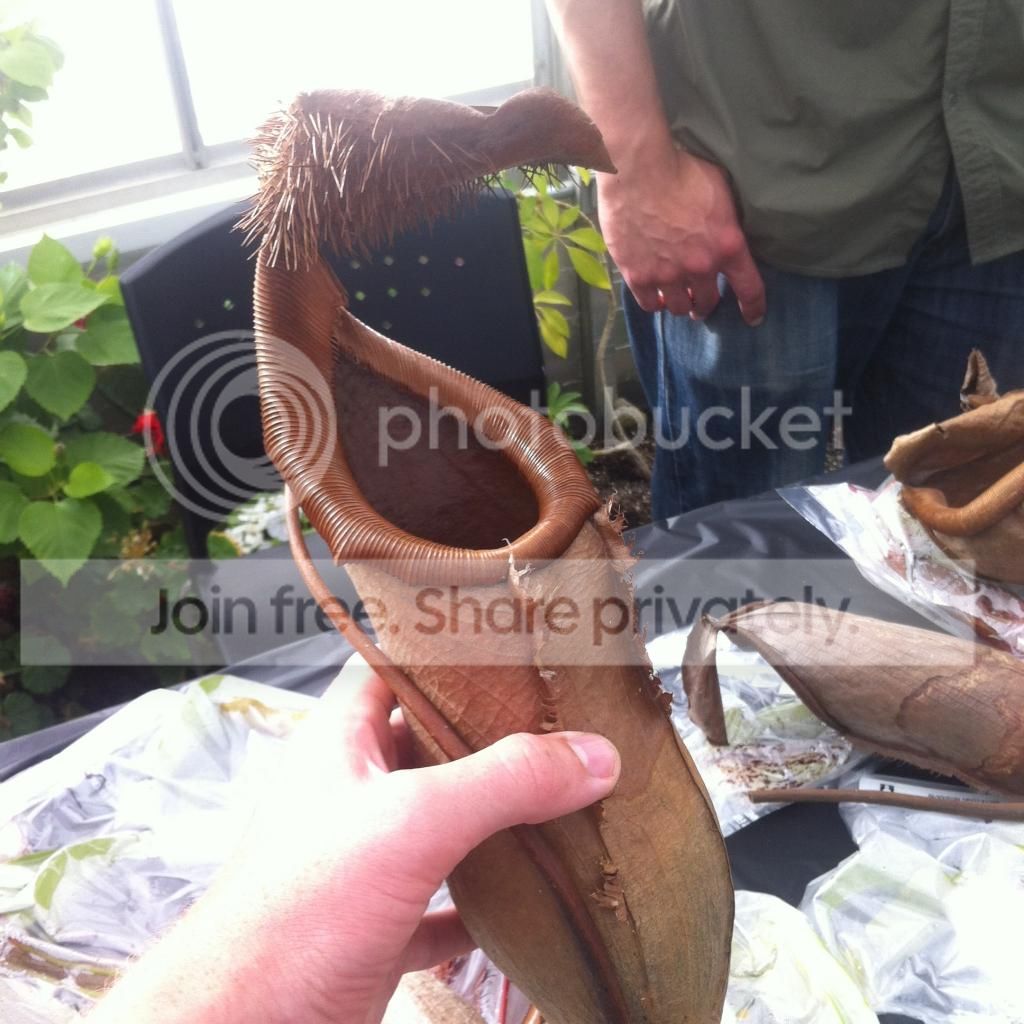 IMG_2380_zpseb50d716.jpg