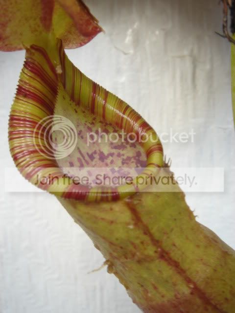 8e76159b.jpg