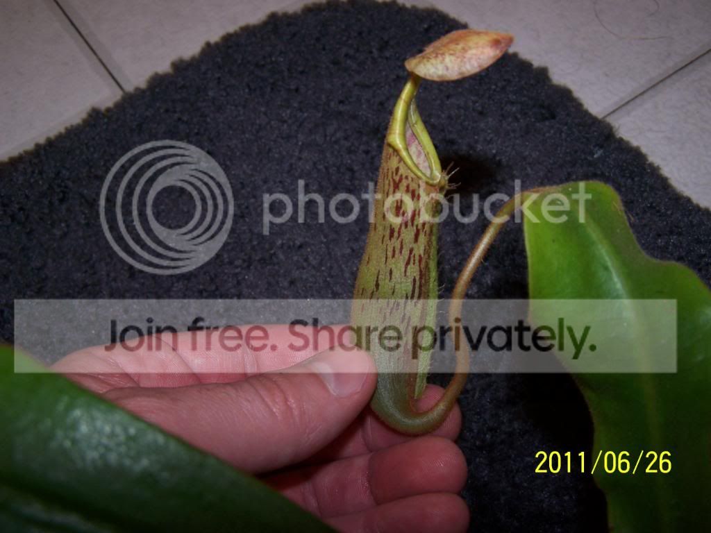 100_4721.jpg