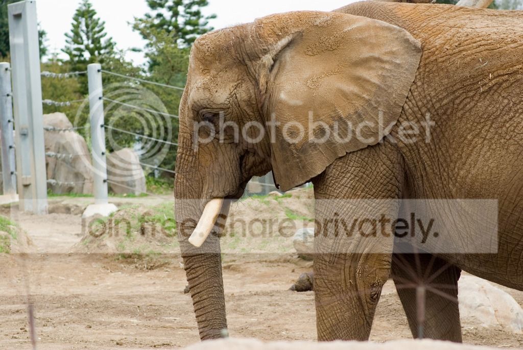 IMGP3593_zps9a9dbecv.jpg