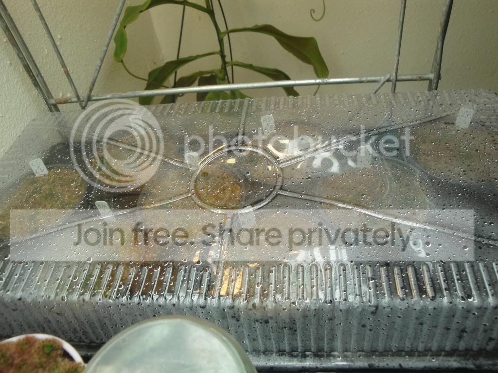 DSC03464.jpg