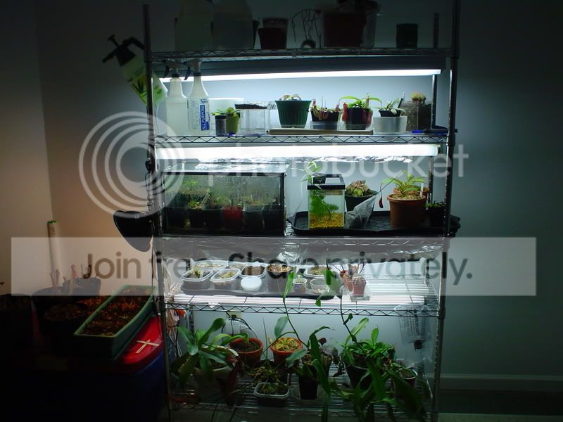 DSC00385.jpg