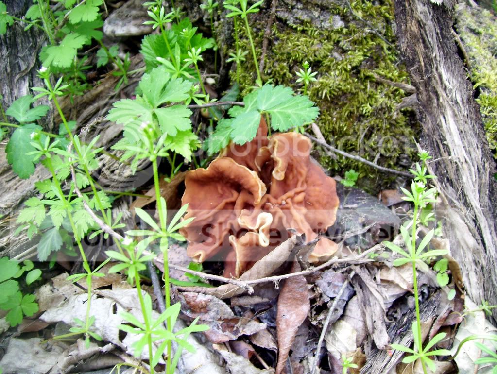 100_8289.jpg