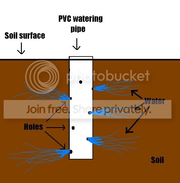 PVCwateringpipe.jpg