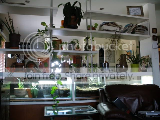 P1160002.jpg