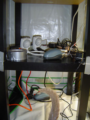 electronics.jpg