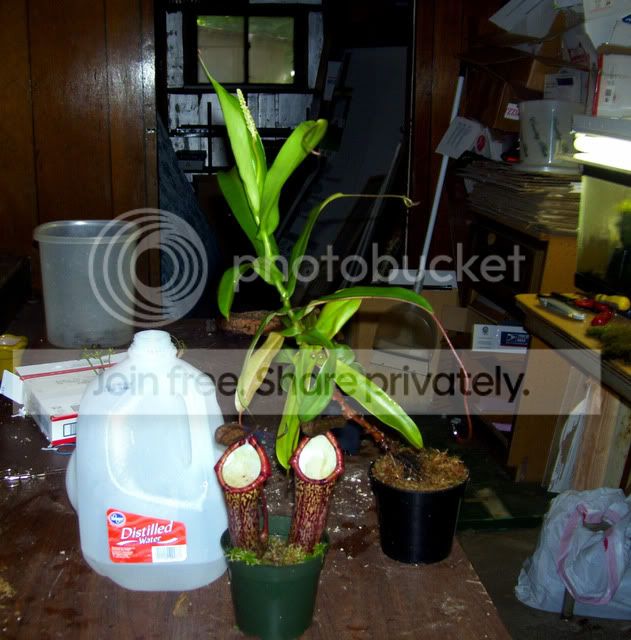 100_4350.jpg