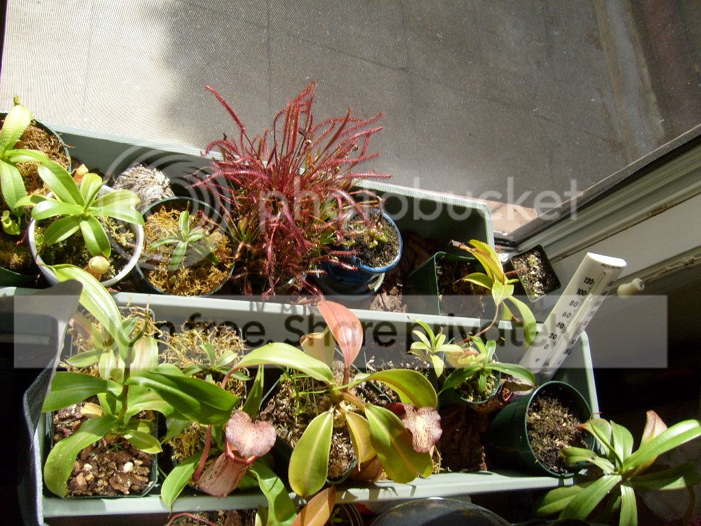 S6301211.jpg