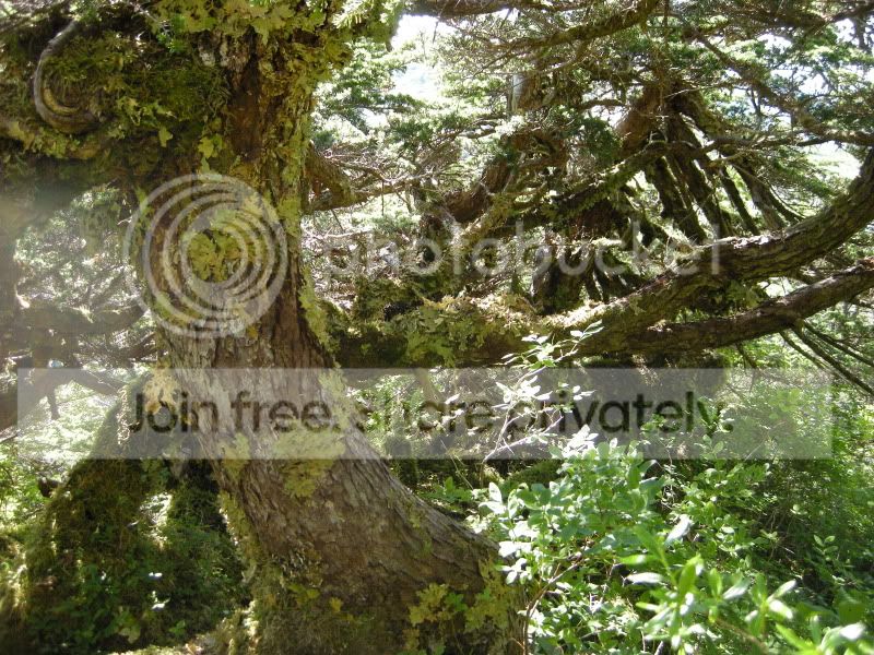 DSCN6239.jpg