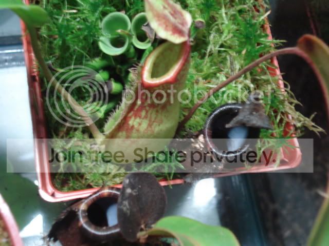 DSC01397.jpg