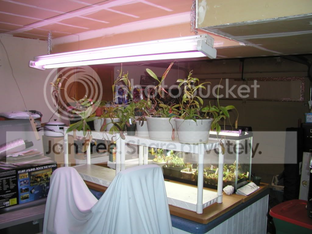 P1010001-5.jpg